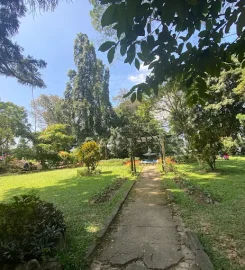 Wales Park